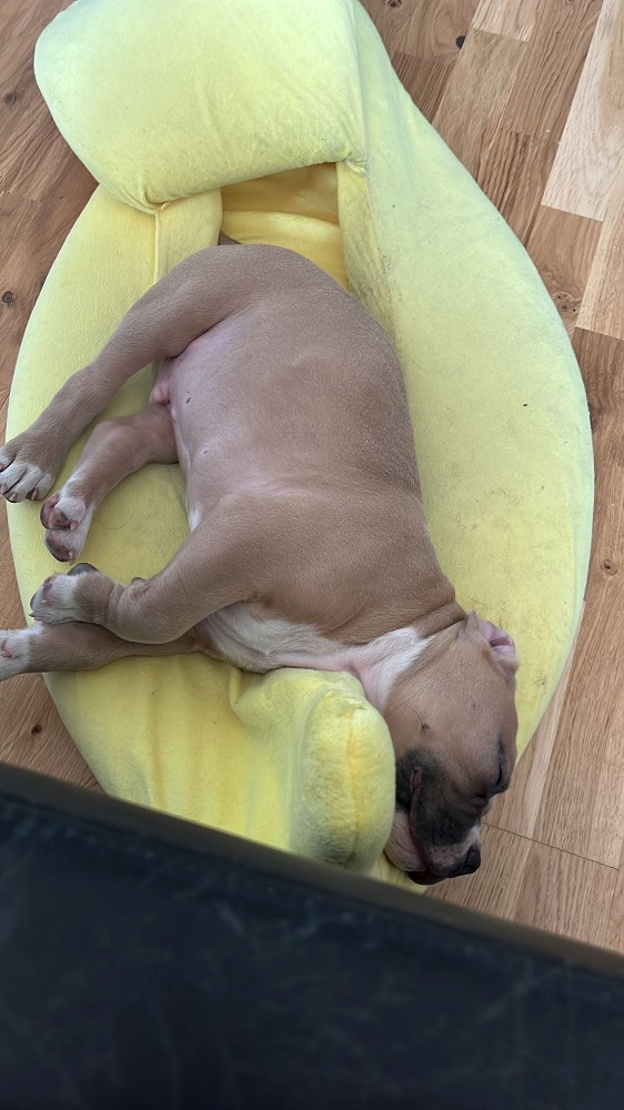 Tyson