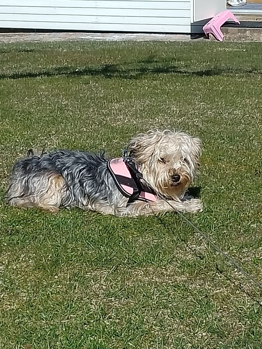 Mimi