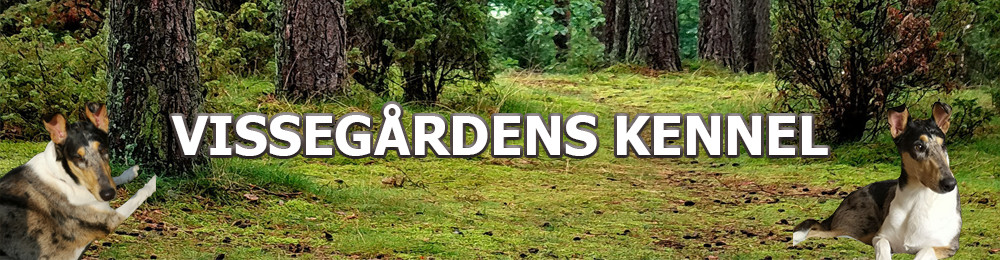 VISSEGÅRDENS KENNEL