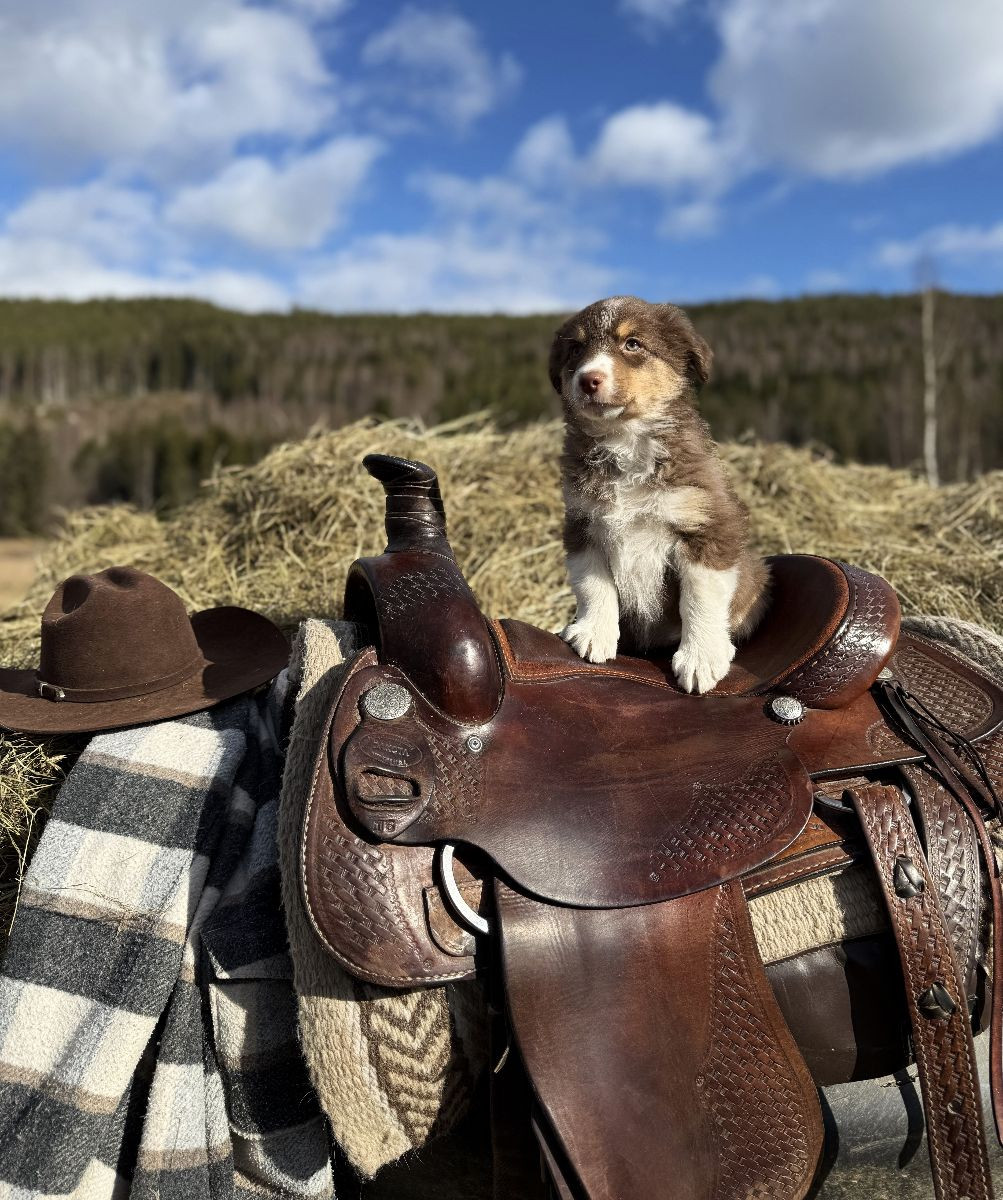 Aussie Bio Gård