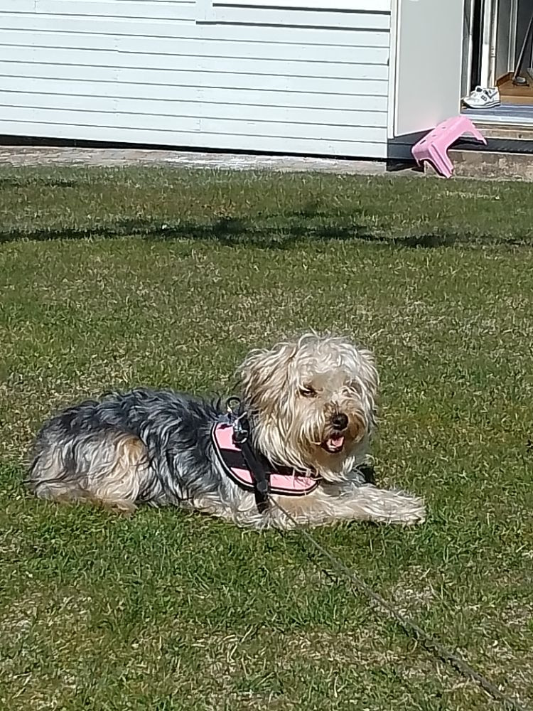 Mimi