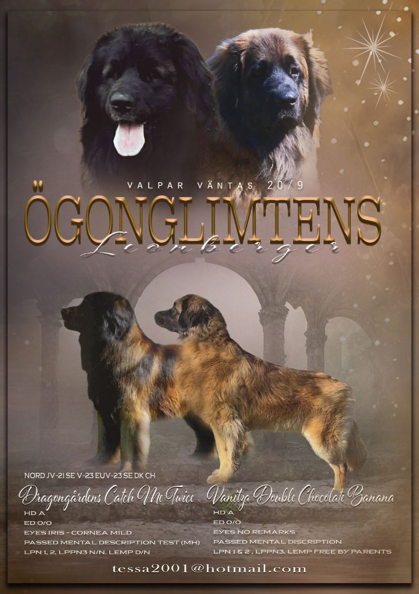 Ögonglimtens