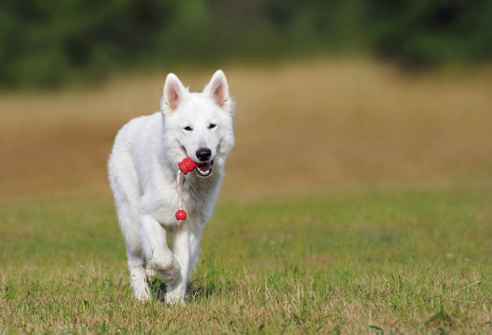 Exercise and Activity