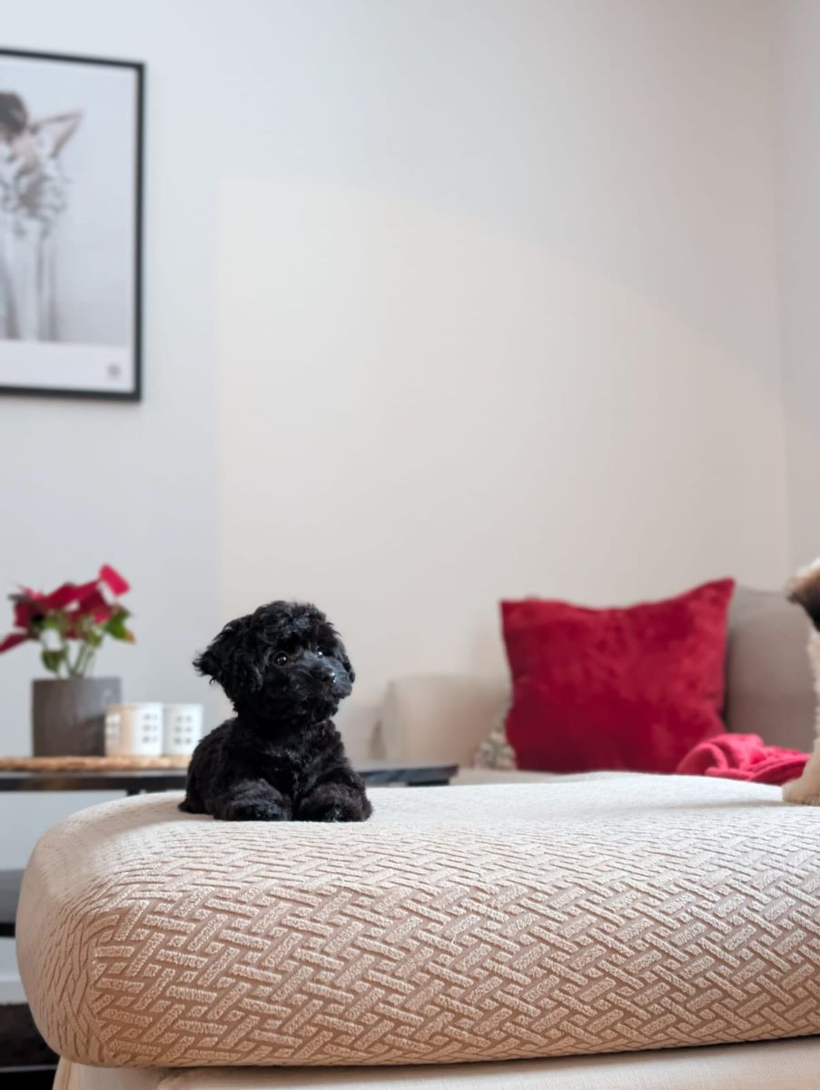 Havapoo · 2025-10-28 · Ösmo · My B.