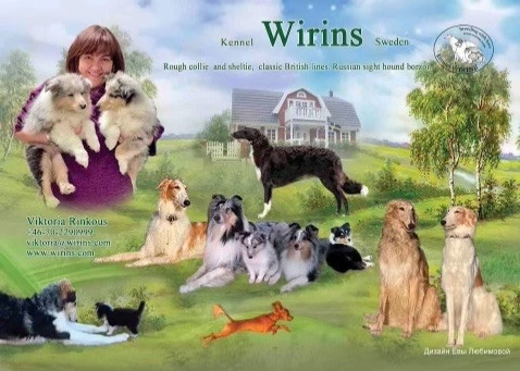 Wirins