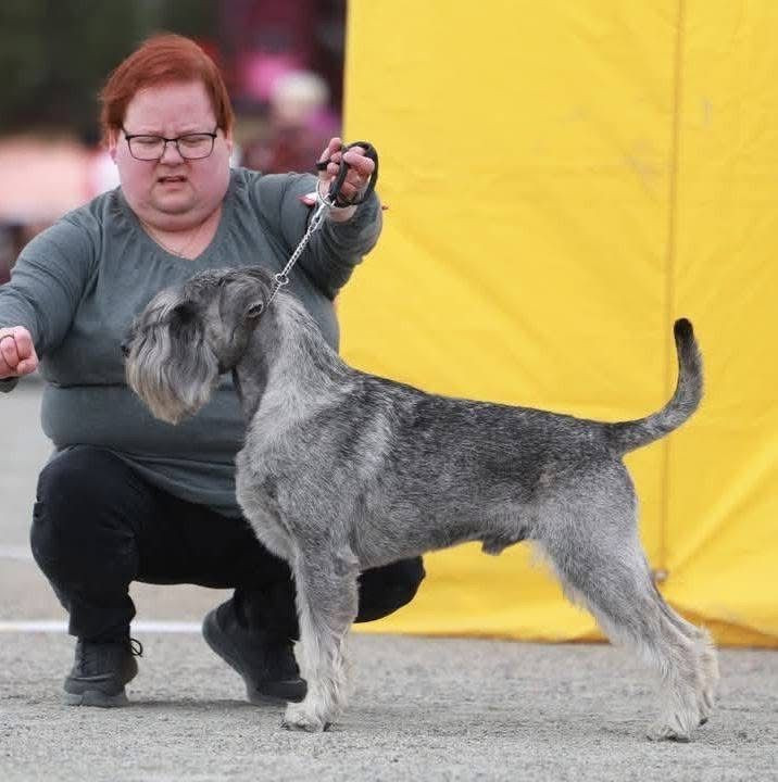 Cubits kennel