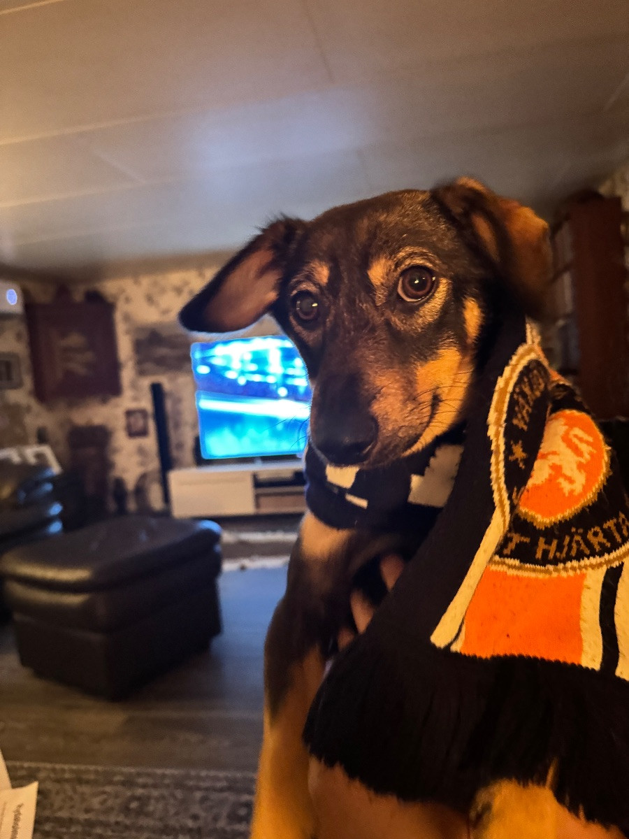 Tax · 2024-10-05 · Rydaholm · Wanthana K.