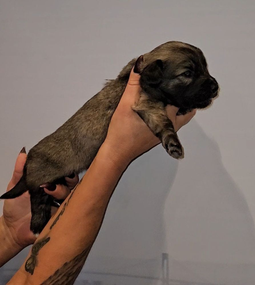 Tiny Winne