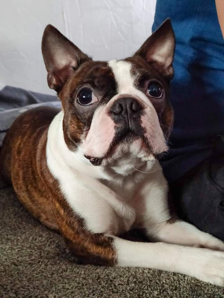 Yesboss Edgar