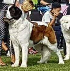 Bastängens