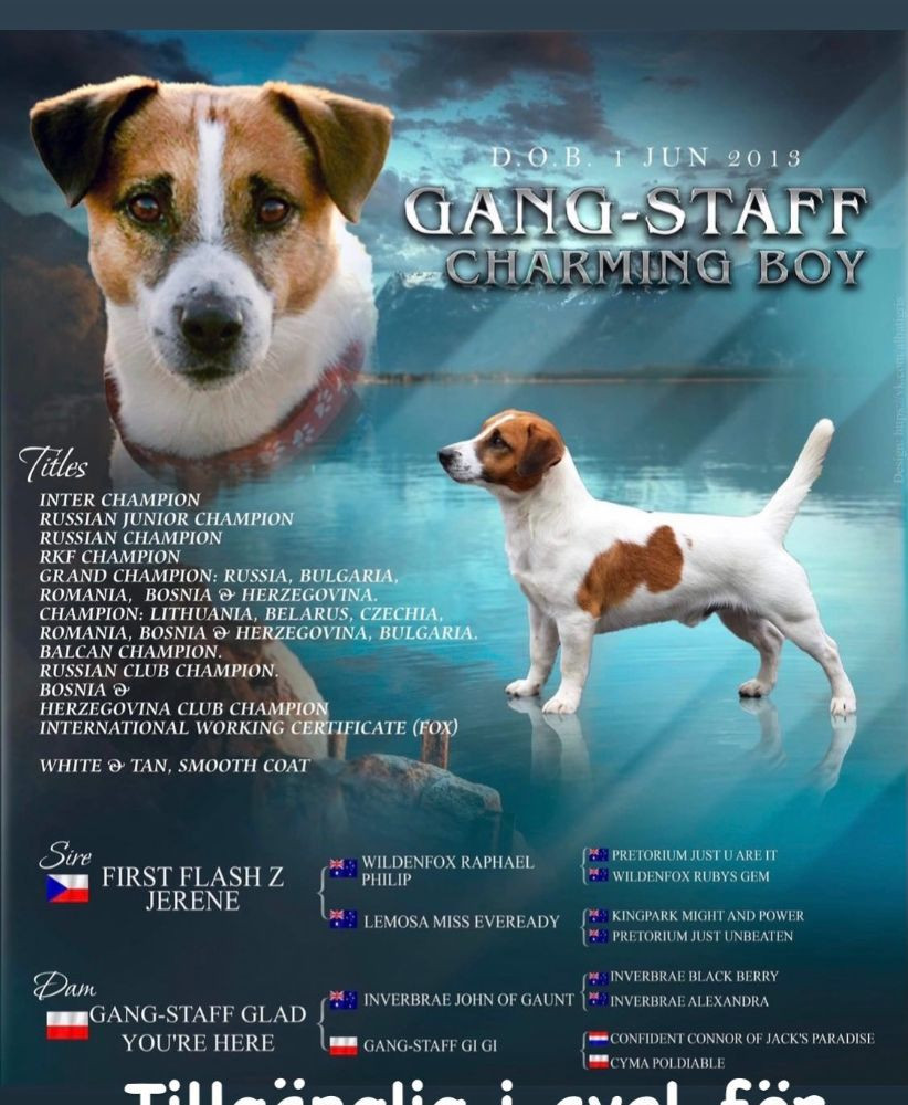 Stabledog’s kennel