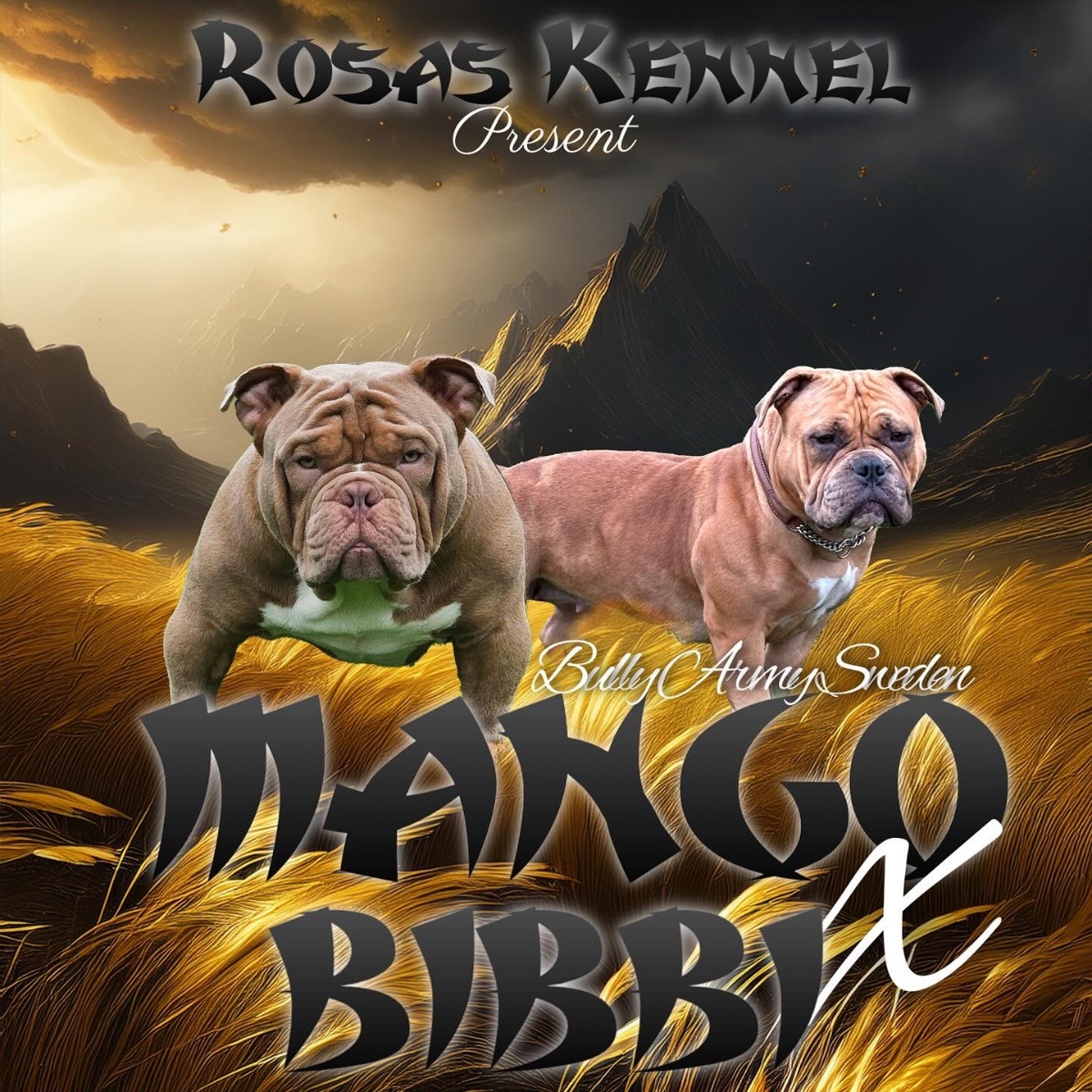 Rosa’s kennel