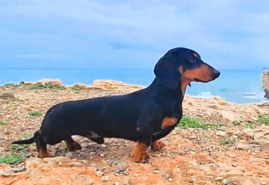 SE26837/2024 Simply The Best Hubert Giraites Uni