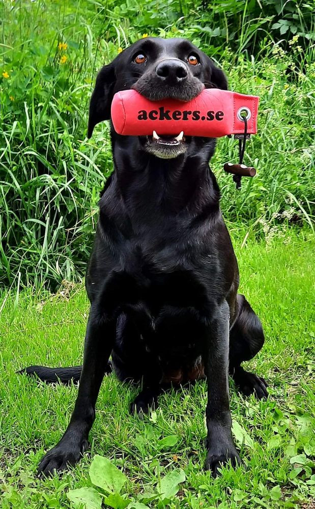 Ackers