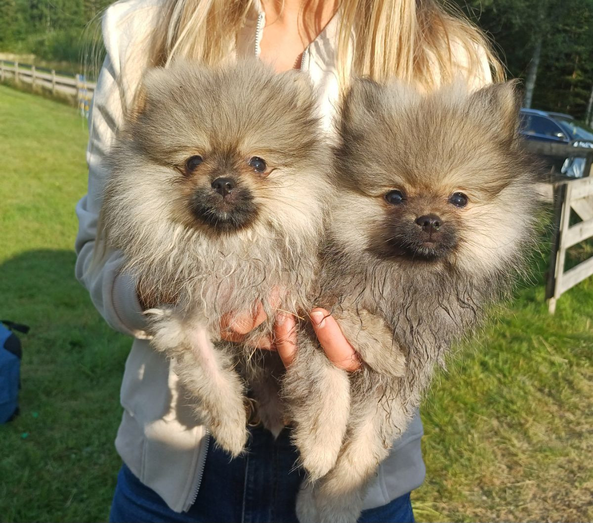 Bokgläntan's