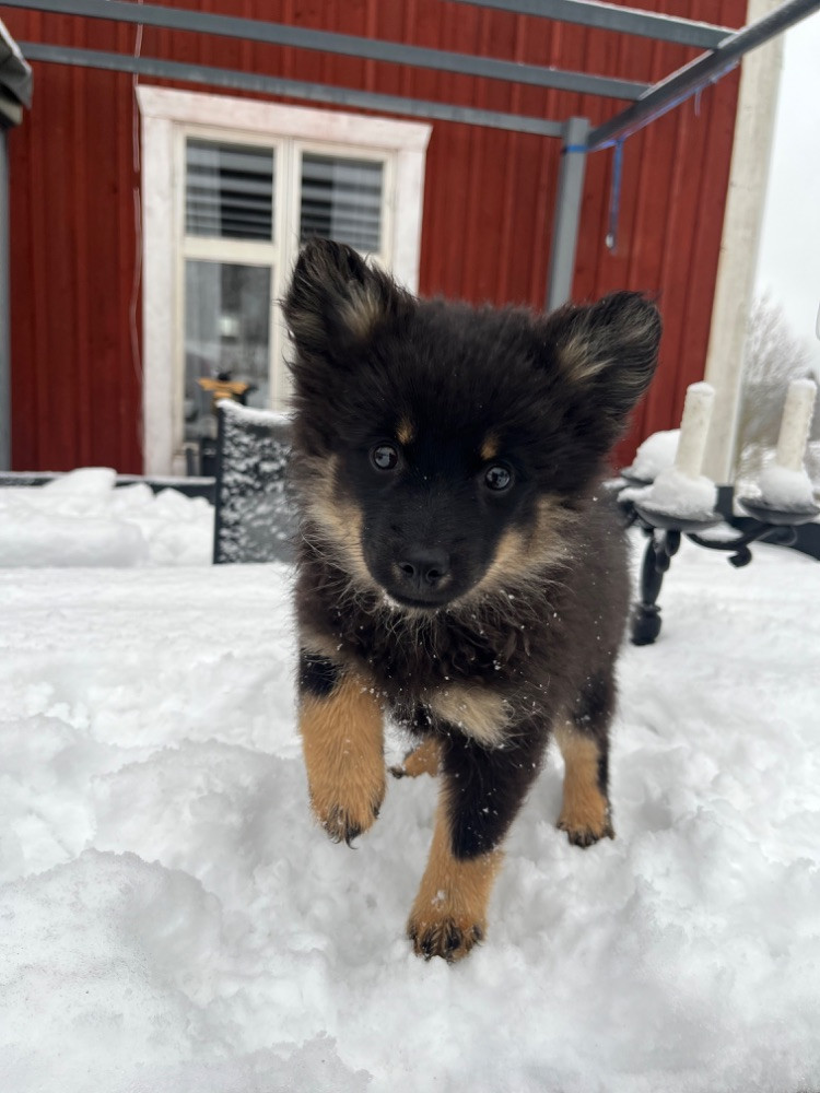 Södra Byhult