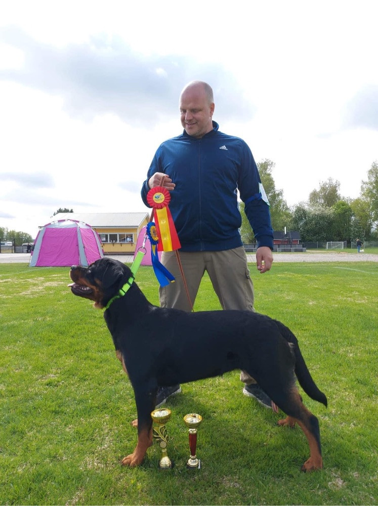 Magic North Rott