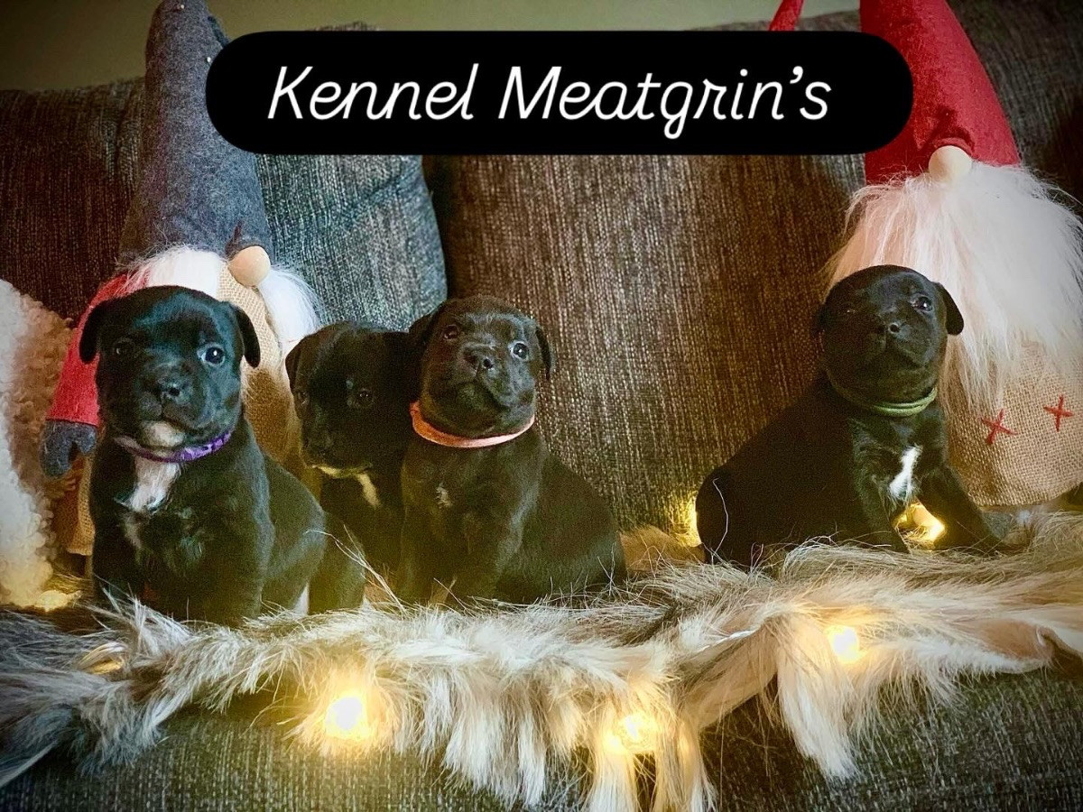 Meatgrin’s