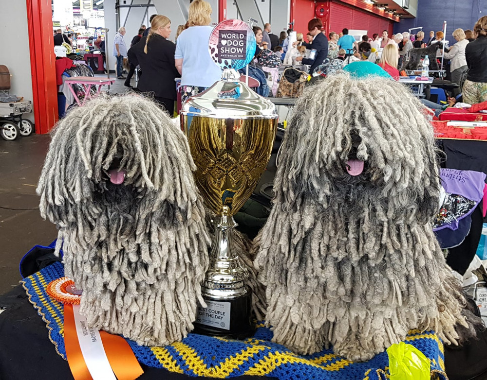 Xaida'z kennel