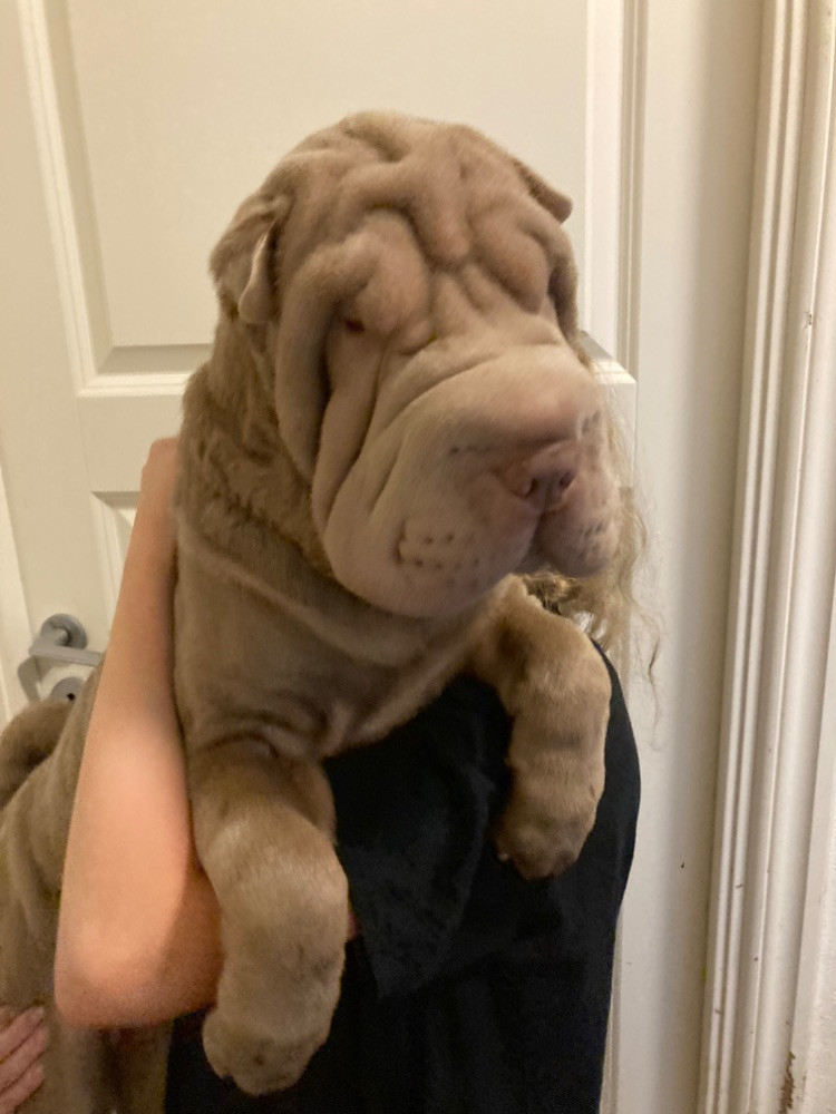 Nature’s Miracle