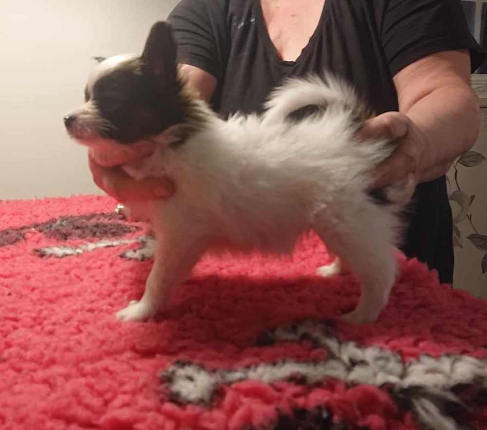 Secret Spell