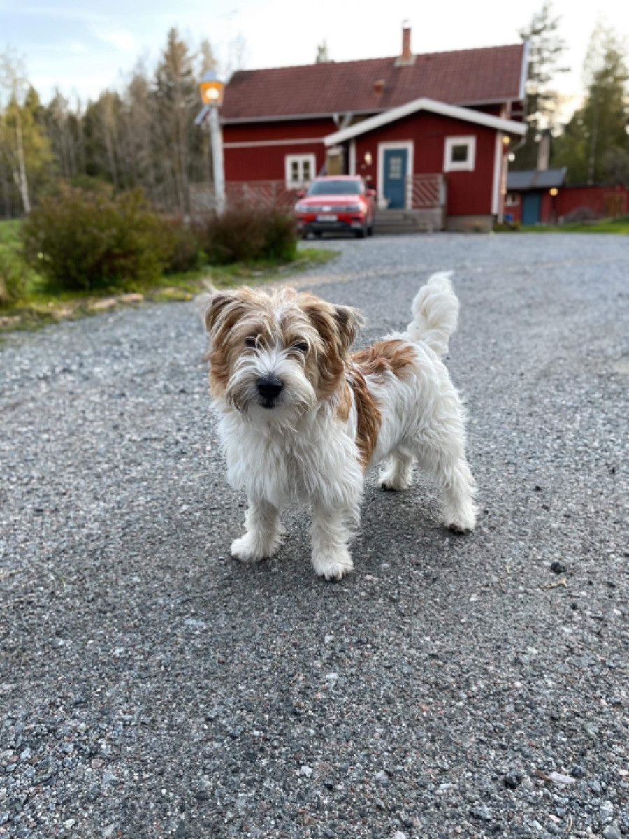 Otis