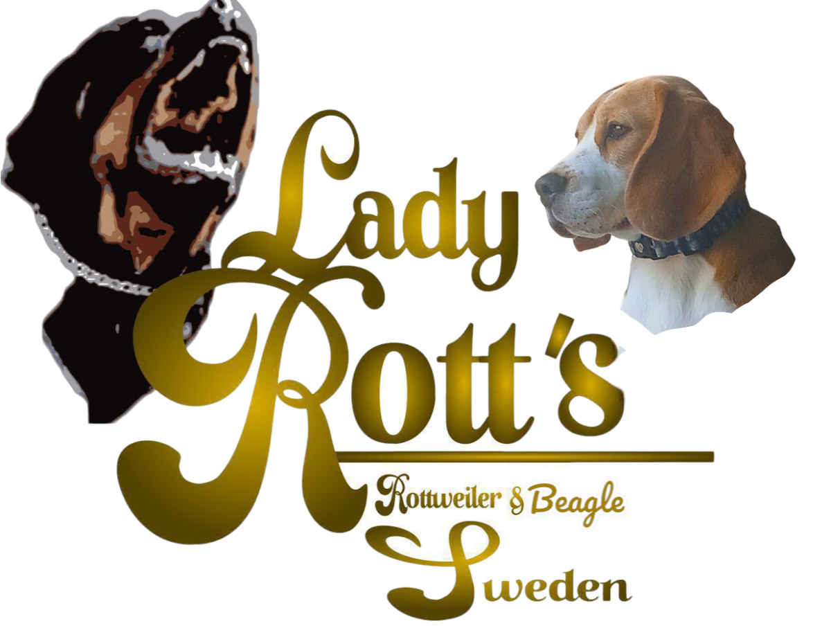 Lady Rott's