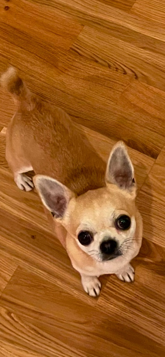 Mini chipette