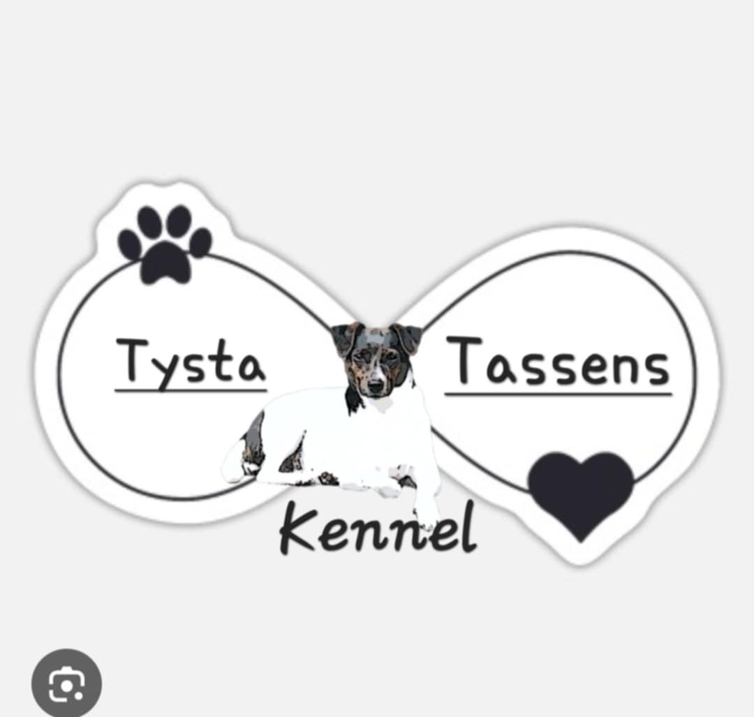 Tysta Tassen