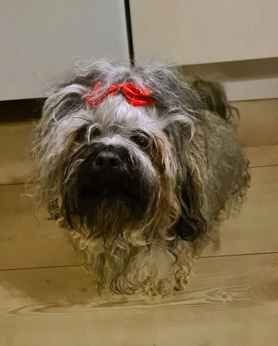 Russkaya Roskosh Radion "Ziggy"