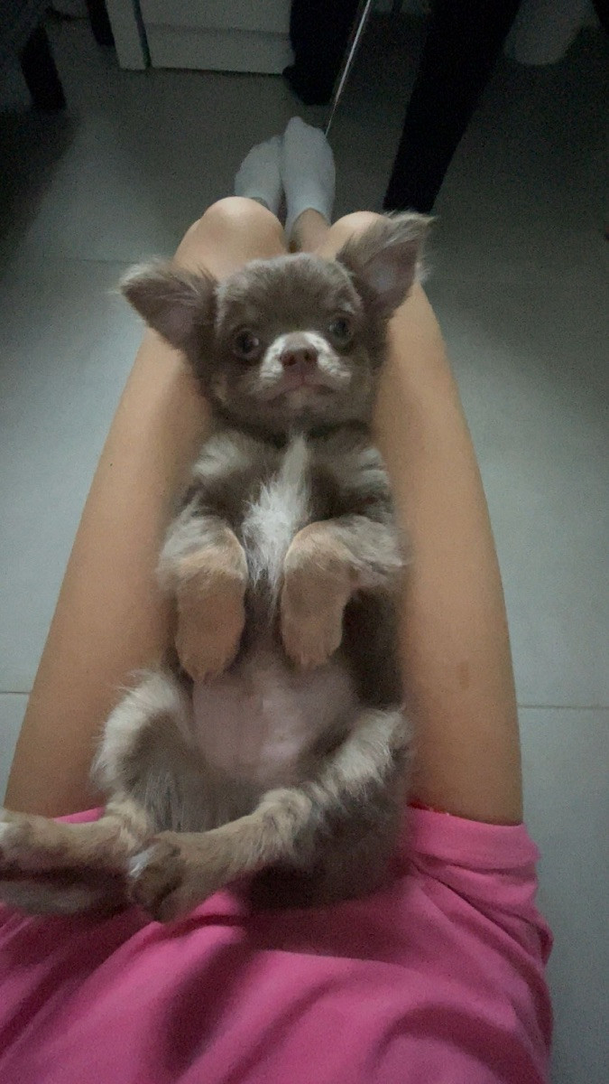 Milo
