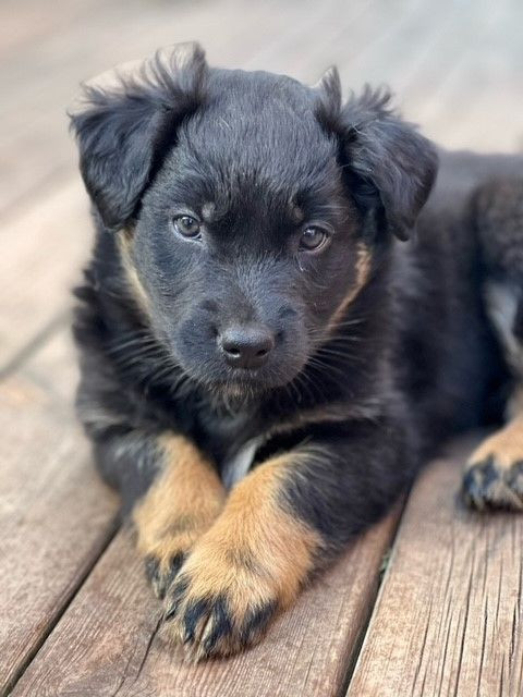 Meet MyOwn