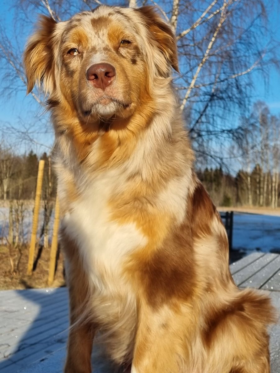 Aussie Bio Gård
