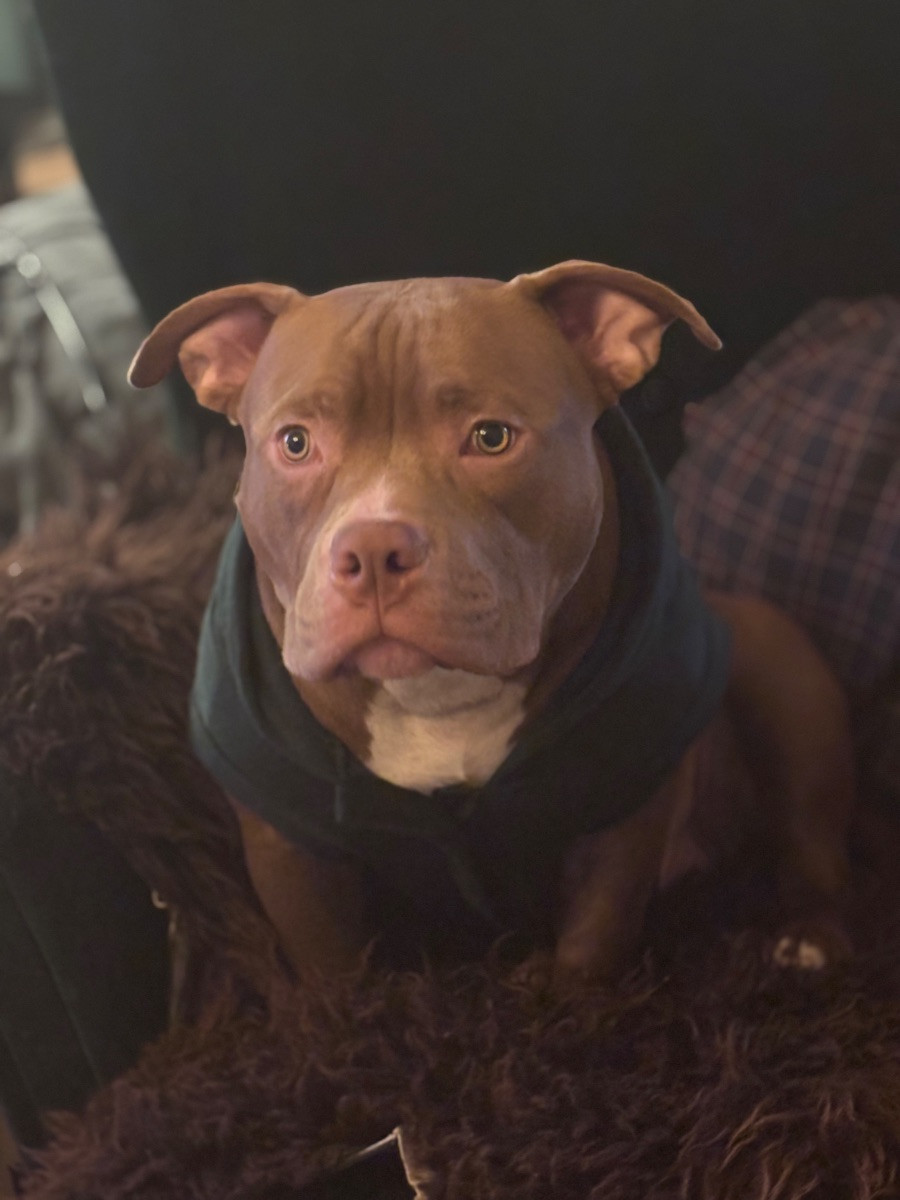 Rosa’s kennel