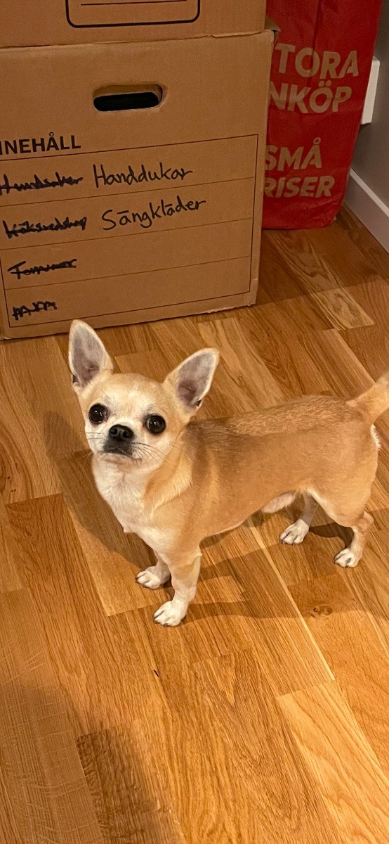 Mini chipette