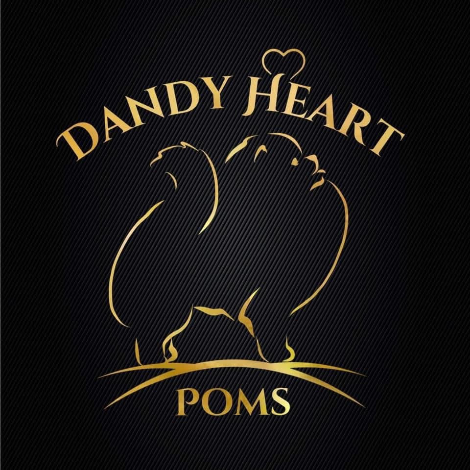 Dandy heart