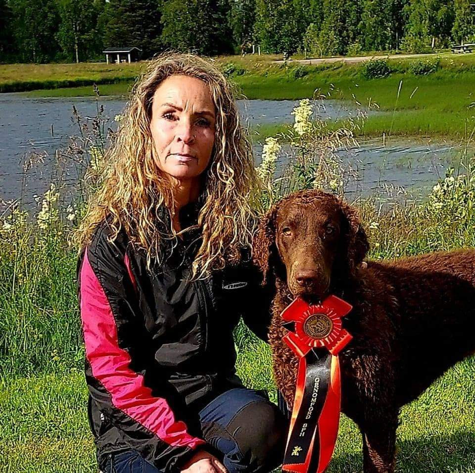 Curly Coated Retriever
