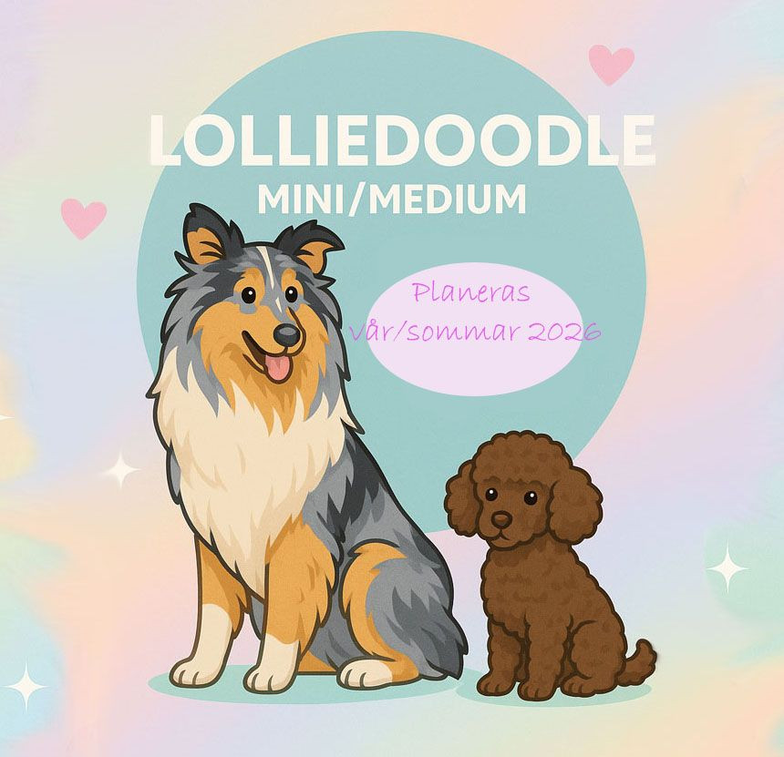 Devzdoodle