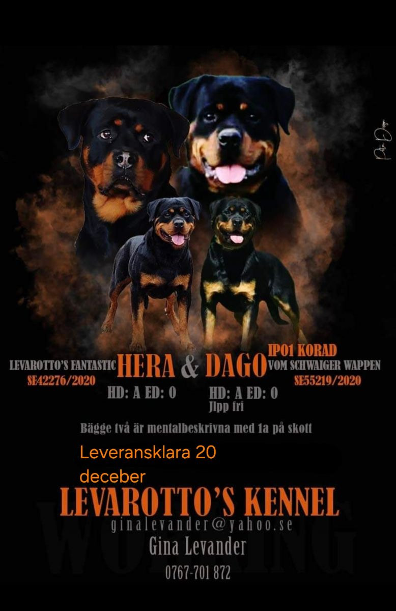 Levarotto's kennel