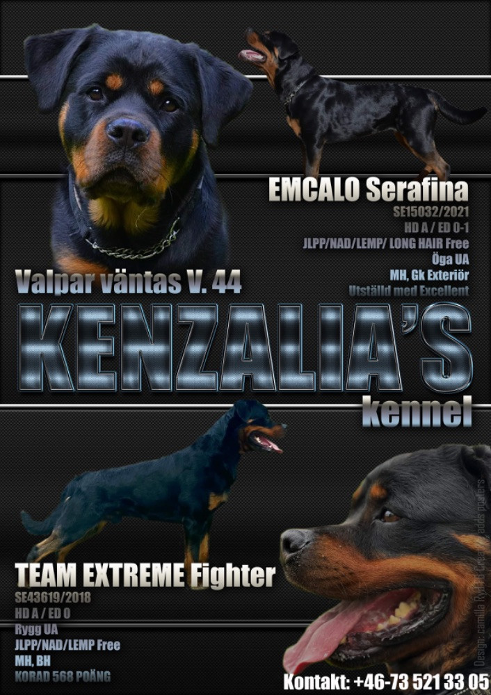 Kenzalia’s