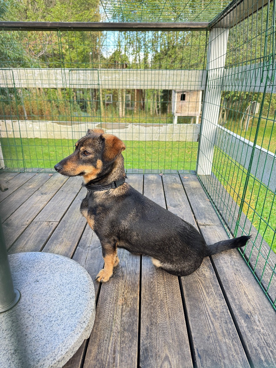 Tax · 2024-10-05 · Rydaholm · Wanthana K.