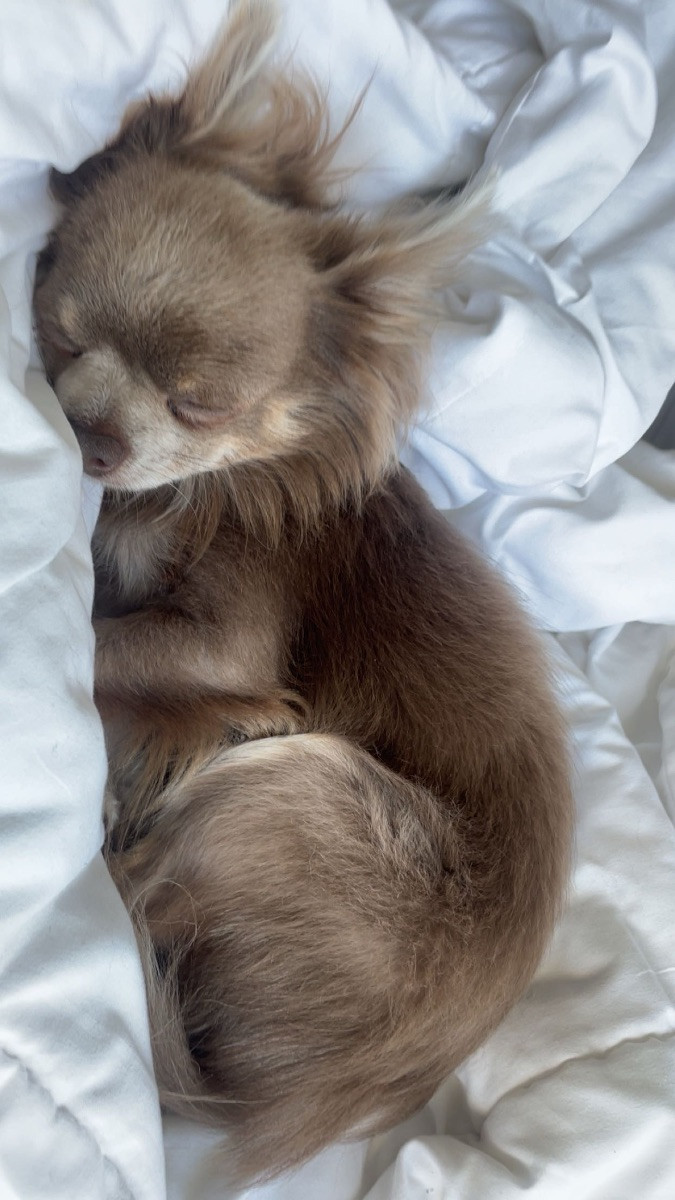 Milo