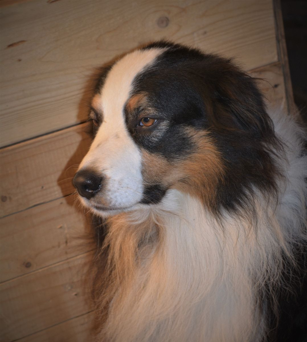 Aussie Bio Gård
