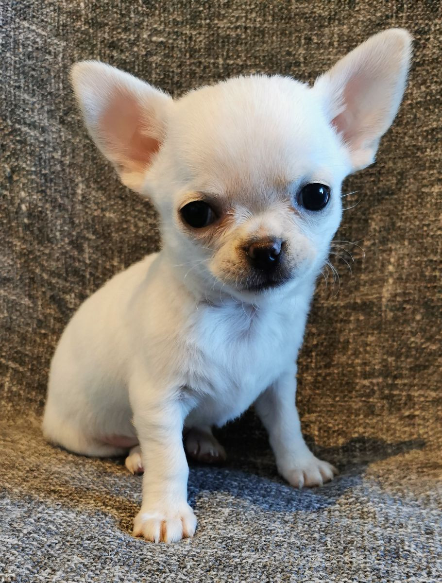 Small But Big