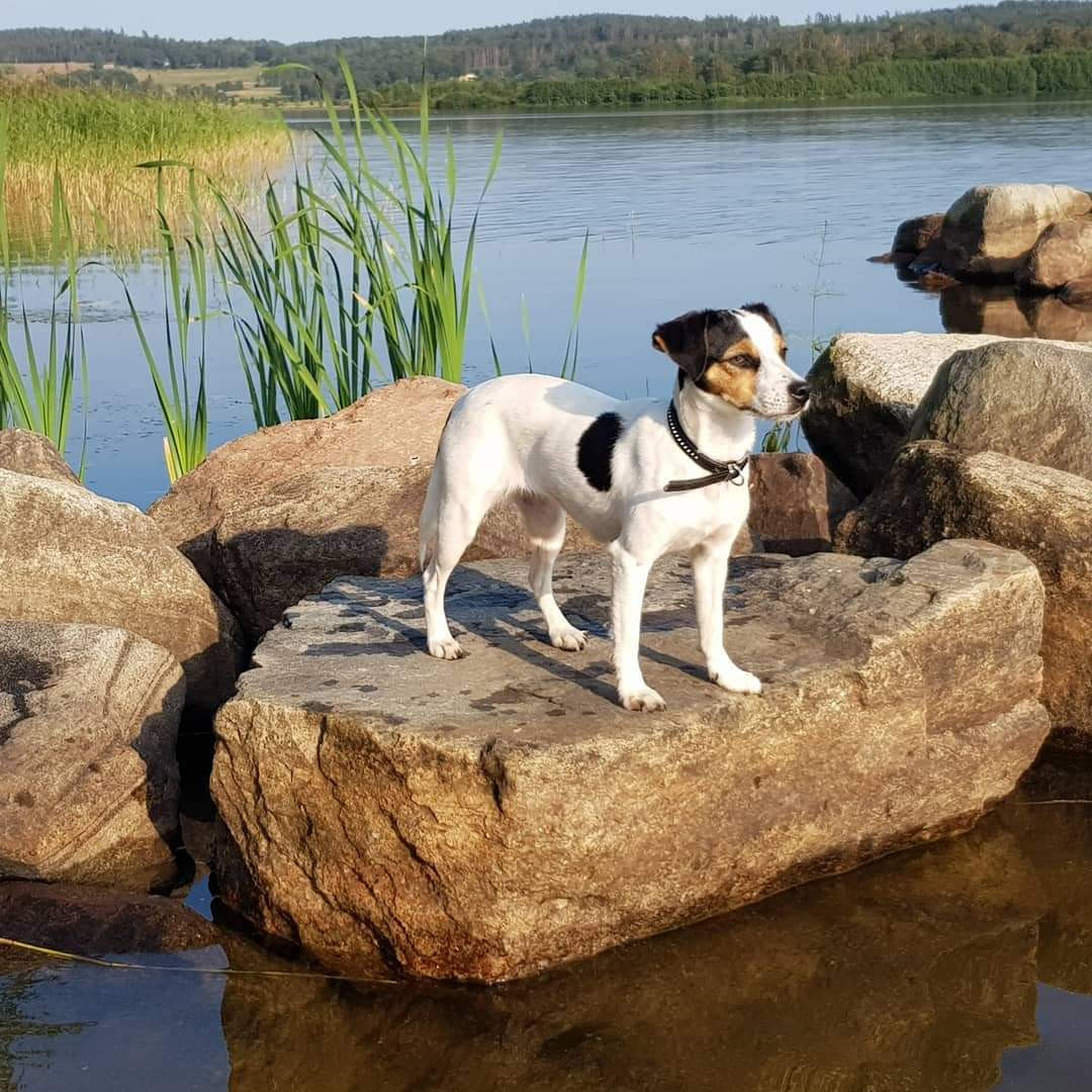 Dalslunds