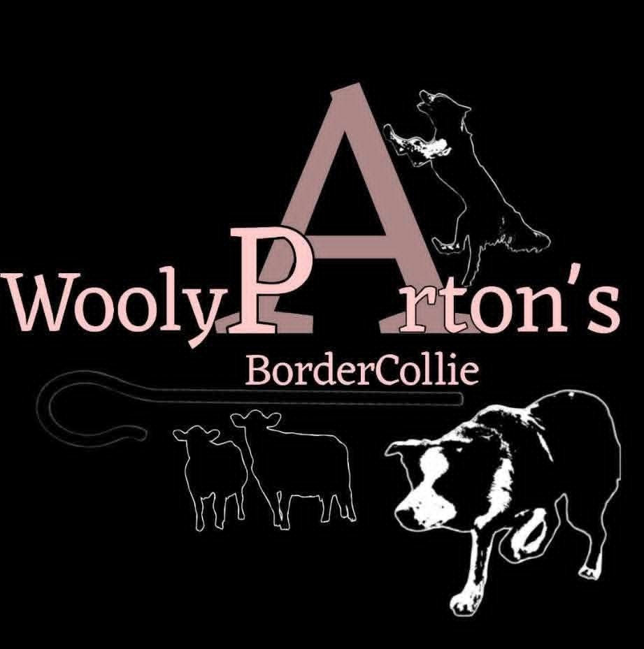 Wooly Parton's