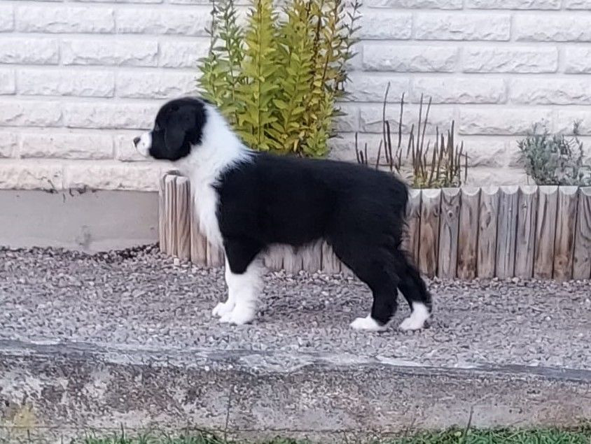 Fätorpet's