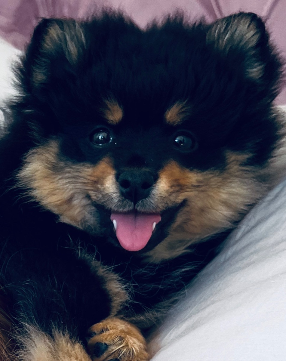 LJ