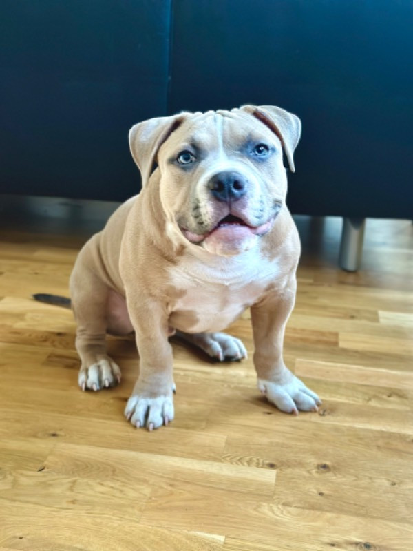 Tyson