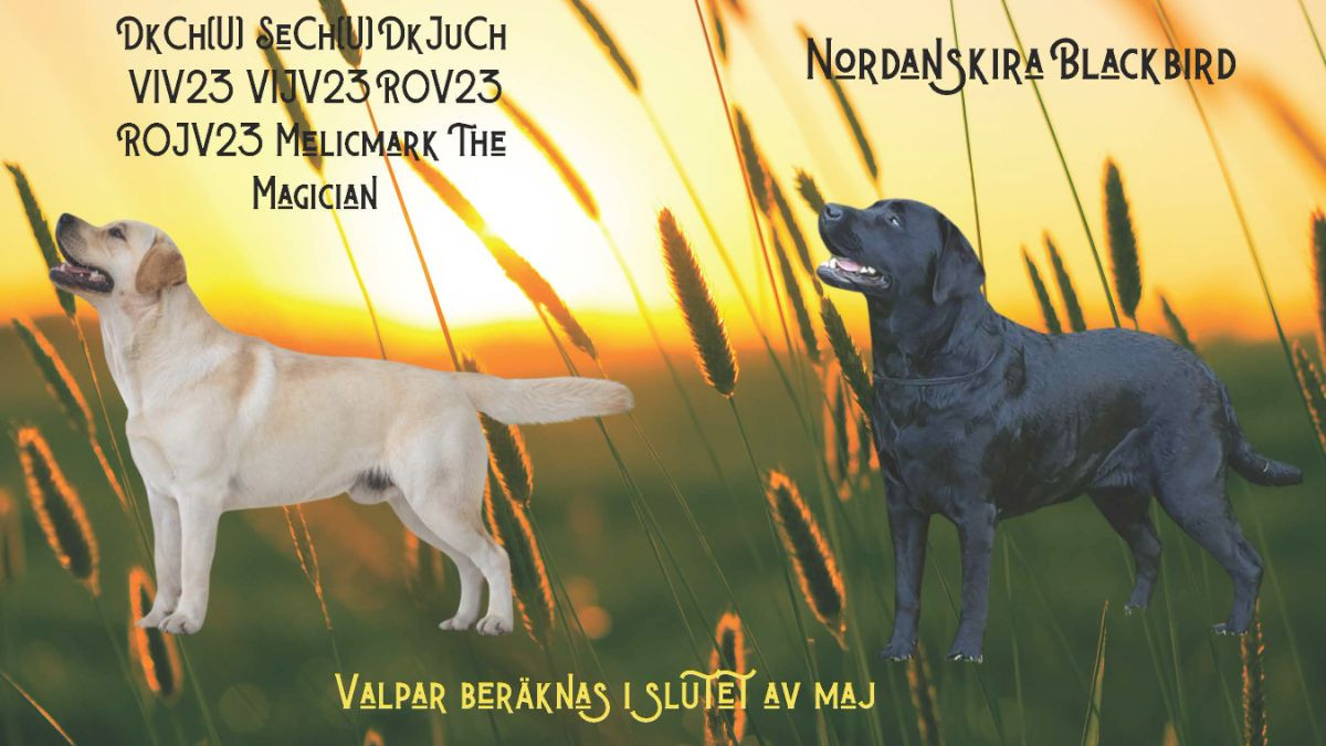 Nordanskira